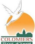 Logo Colomiers - Cluedo géant 